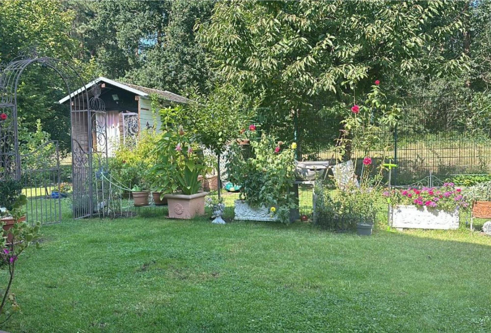 Grosse Helle Wohnung Am Wald In Bad Saarow Nahe Gruenheide Und Berlin Souterrain Εξωτερικό φωτογραφία